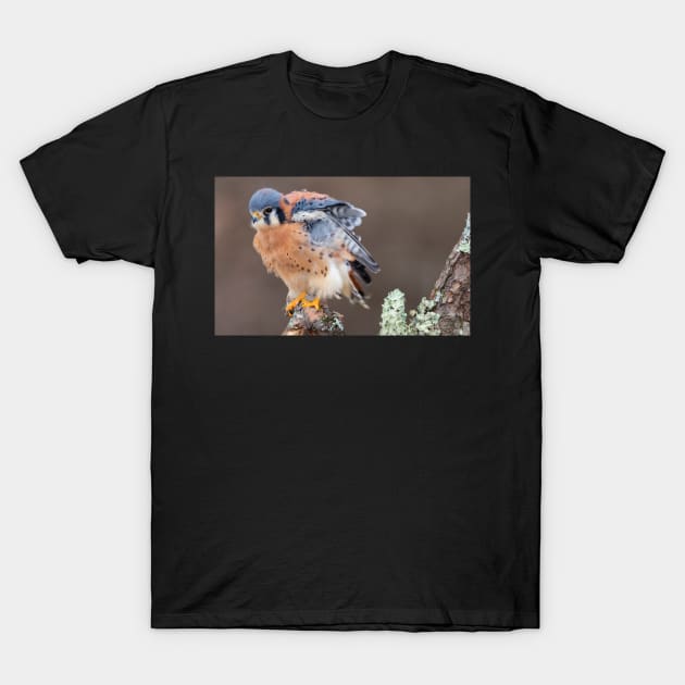 Falcon T-Shirt by kawaii_shop